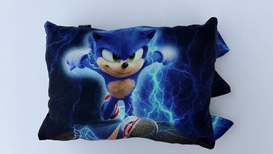 Sonic