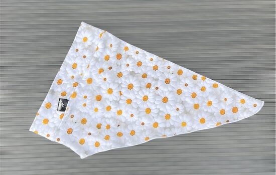 Margrietiņas 53-57 cm